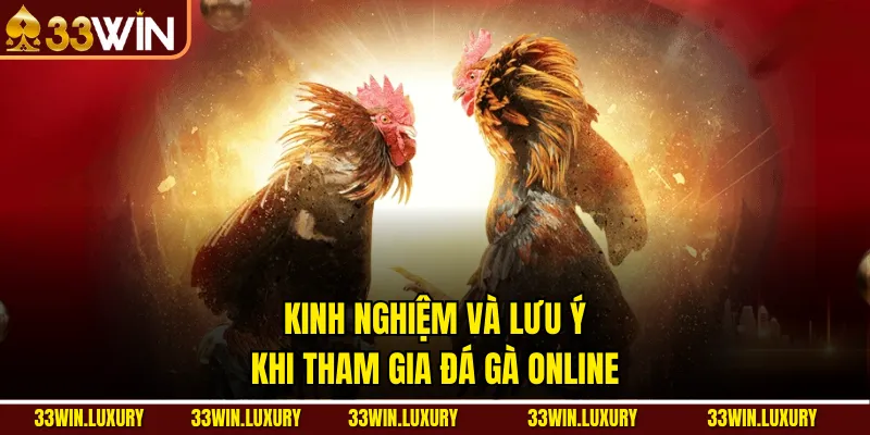 Kinh nghiệm và lưu ý khi tham gia Đá Gà online